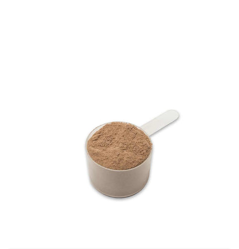 Organic Chocolate Protein Powder made from Whey Concentrate