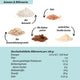 Bio Schoko Protein Crispies – glutenfrei, sojafrei, vegan