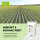 Organic Premium Erythritol - 500g