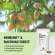 Organic Premium Almond Flour 400 g