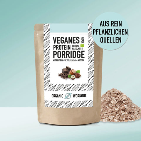 Bio protein porridge chocolate hazelnut vegan